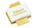 T1G4012036-FS