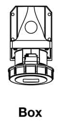D51S55A