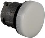 ZB4BV06S
